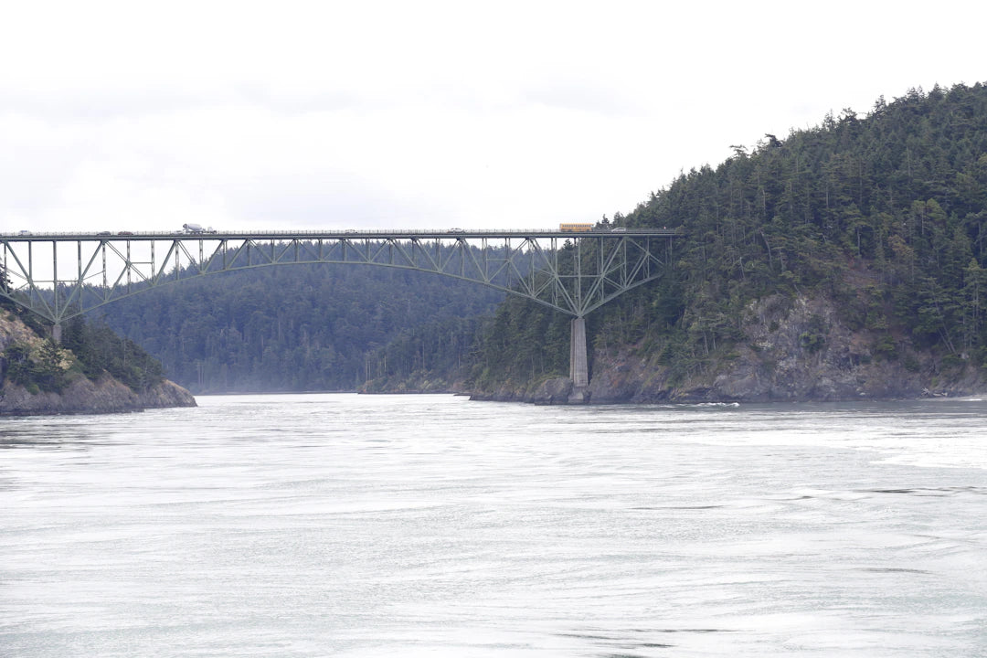 Unmasking Deception Famous Lies and Their Downfall